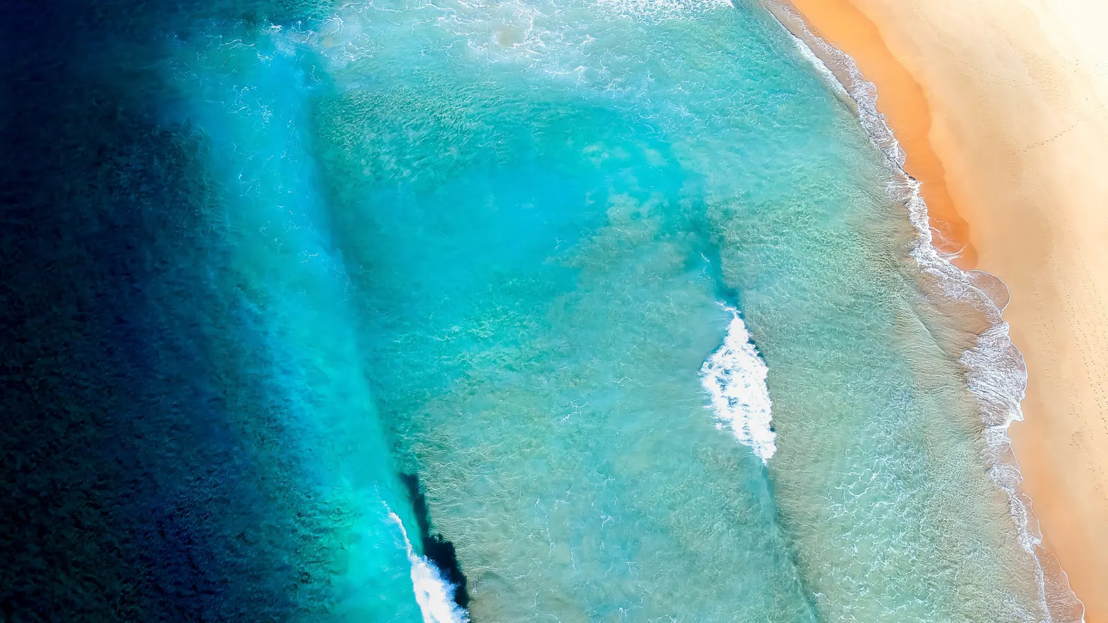 Aerial view of turquoise water meeting a San Diego beach